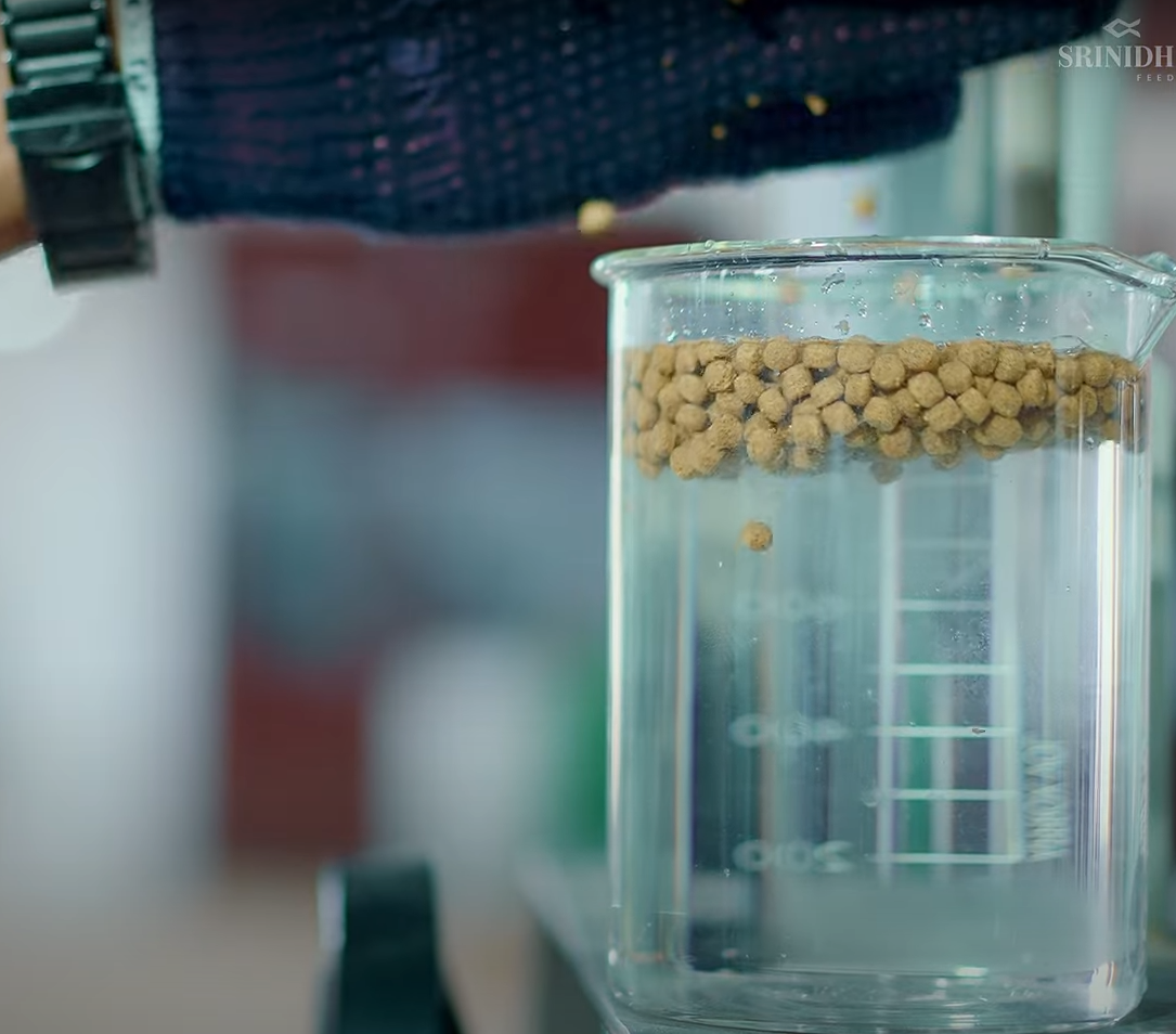 Feed production line