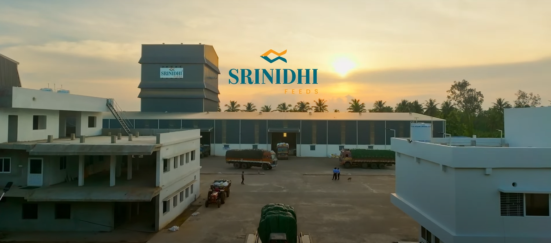 Fish feed production